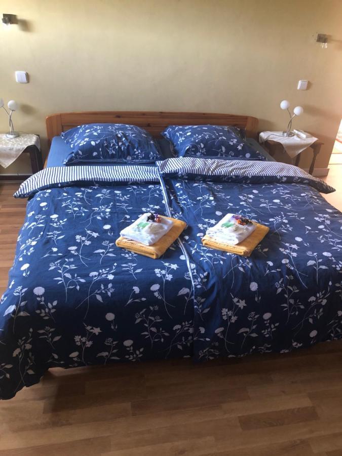 V Soukromi Rodinne V Decine Homestay *